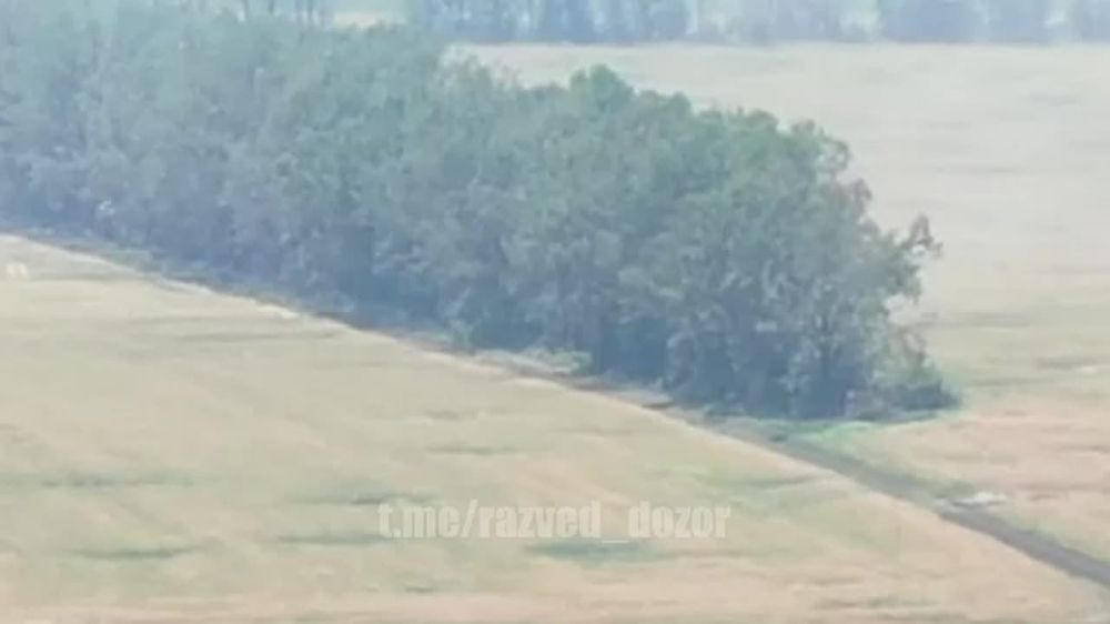 �������������� ����� ������� ������� 93 ������� ��� � ����� ��������