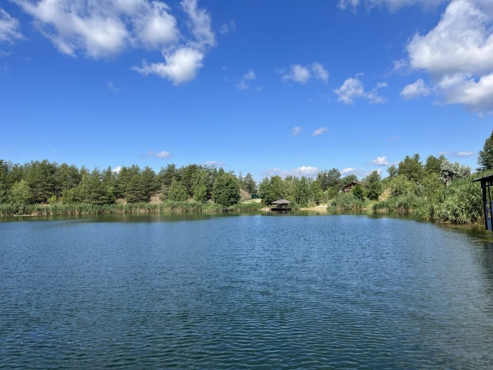 ������� ������������� ���� �����, ����� Telegram-������ @wargonzo