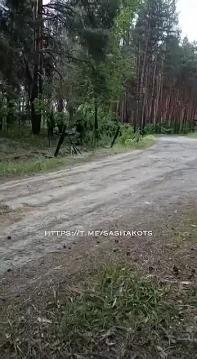 ��� ������� ������ ���������� ������������ � ����������� �������