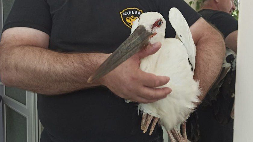 �� �������������� �������� ������ �������� � ������� �����