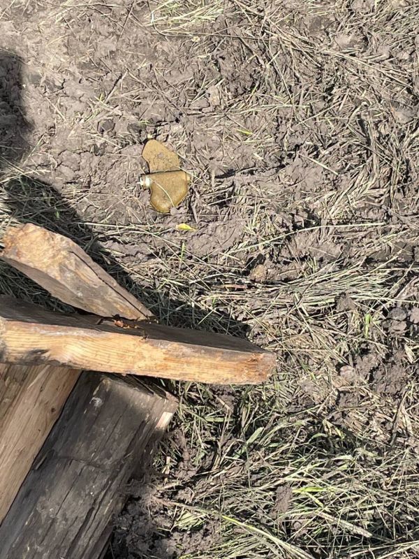 ��� ���������� ���������� ������ "����������" ����� ����������� �������