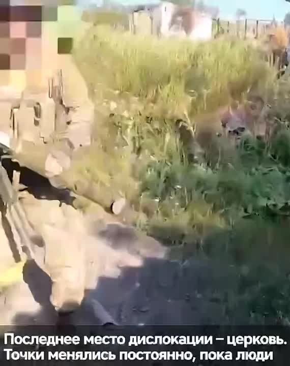 ����� � ������ �� ����� �� ���������� ��������� "���������� ��������', �� ��� �������� "������������"