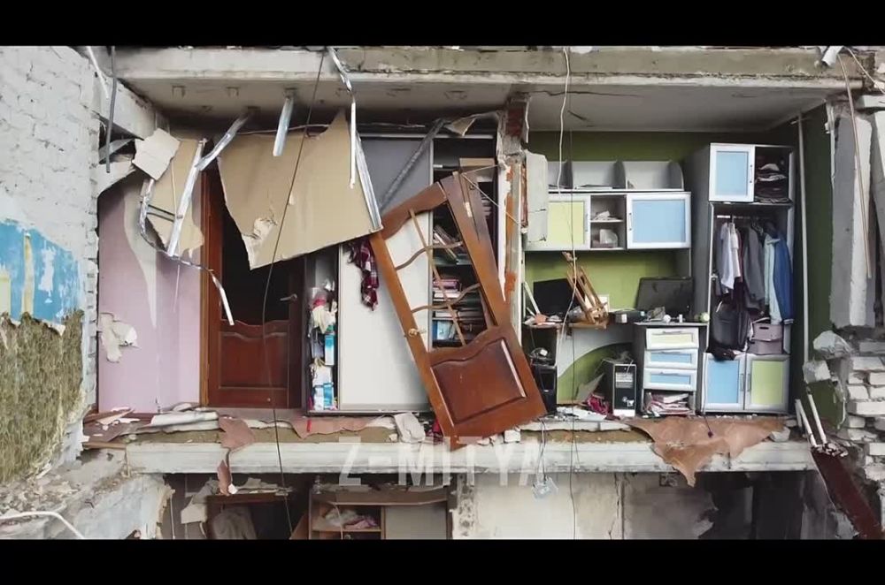 ����, ���� 2022