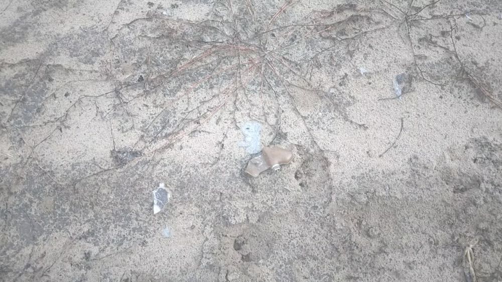 ��� ���������� �������� ����������� ������� ���������� ���������, ����������� ������ "����������": ����� �� �.�. �������