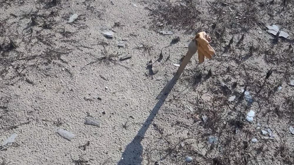 ��������� ����� � ������ ����������� �������: ��� ����� ���������� �.�.������� "����������"