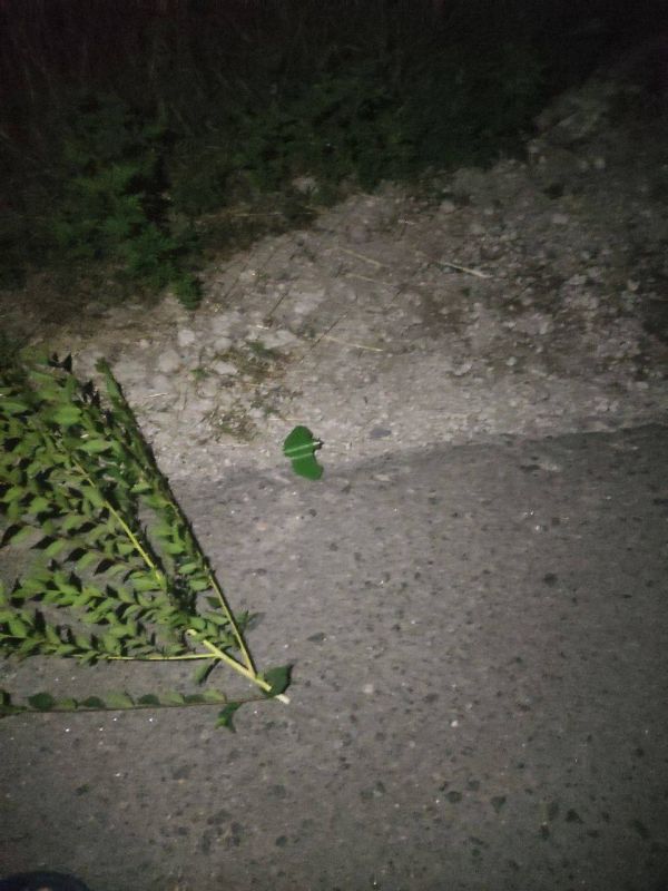 ����� ���������� ������� ��� ������� �� ������� ���������, �� ������� ����������� ��������������� ���� � ���������