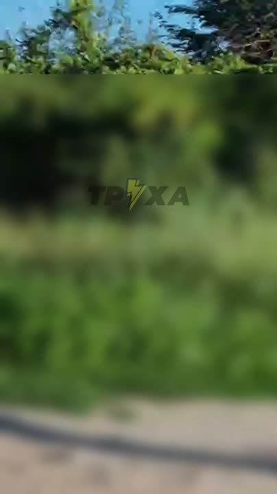 � �������� ����� ������ ������������ ������