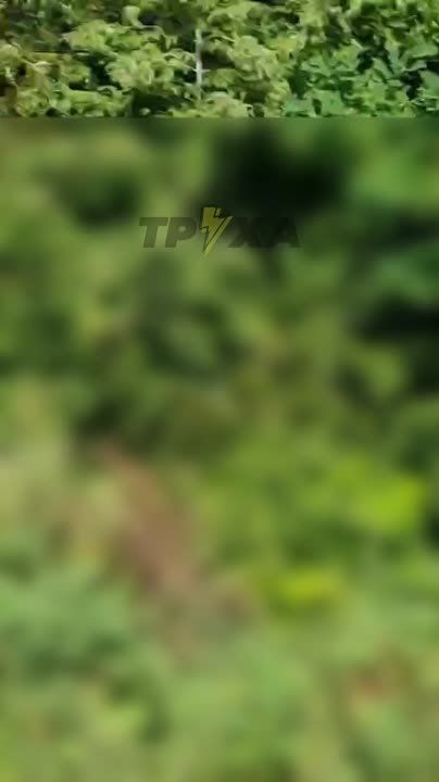 �������� ��������� ����� �� ��������, � ������ ������