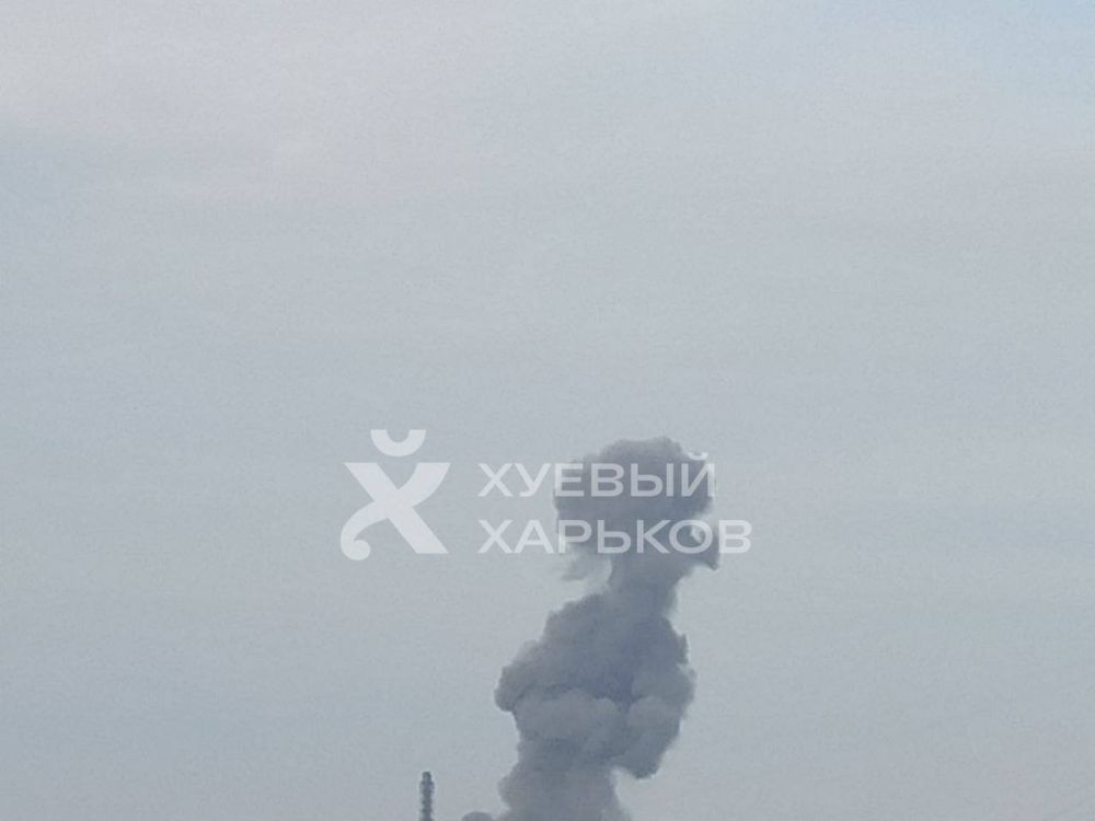 �� �������� ���������� �������� �����