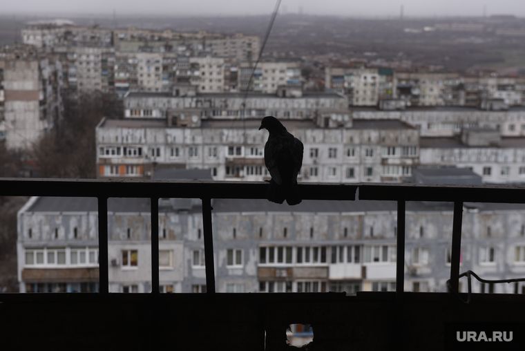 В США раскрыли, что приведет к поражению Киева в спецоперации