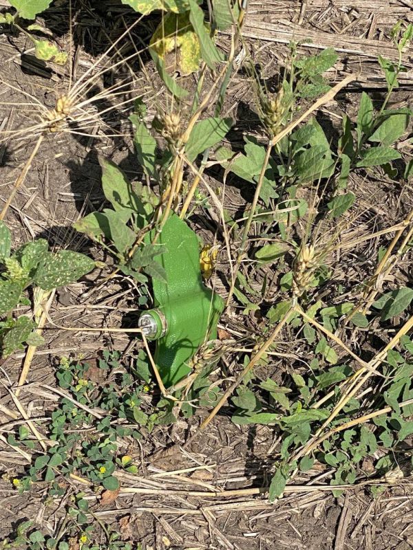 #���_�����. ��� ����� ��������� ���������, ����������, ���������� ���������������� ������ �� ������ ����������� �������