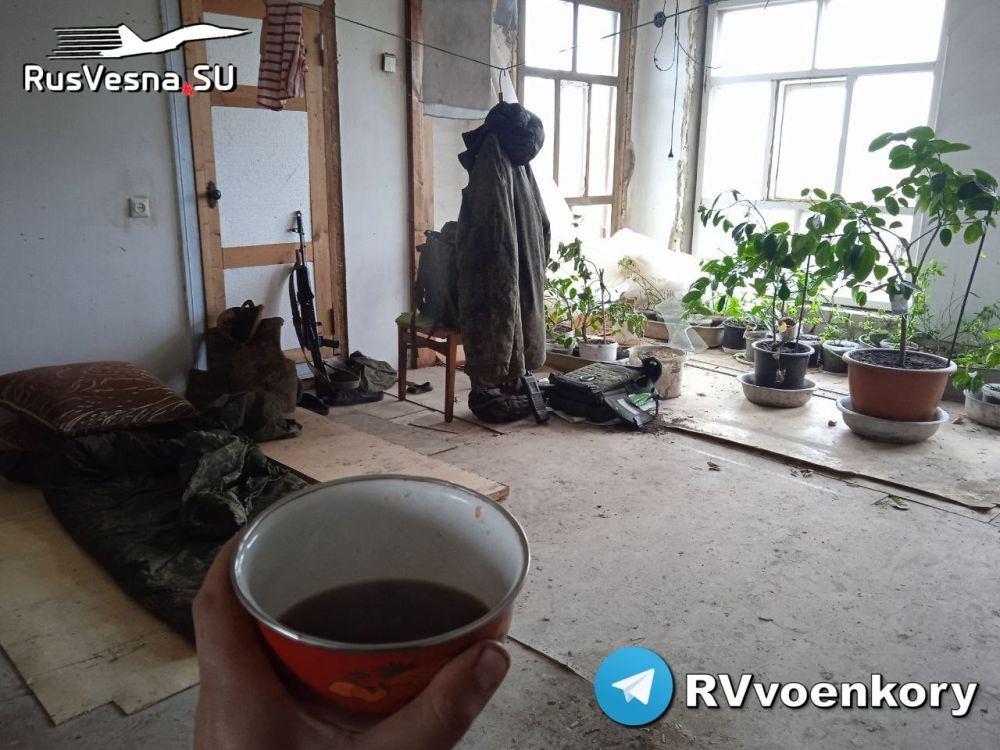 ����� ����� ����� ������-����������� � ��������� ������: ����� �������� ���� ������