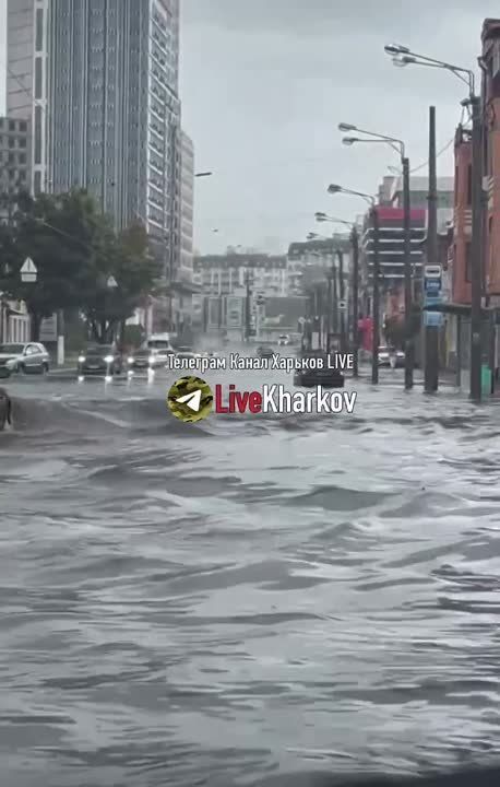 ������� �������