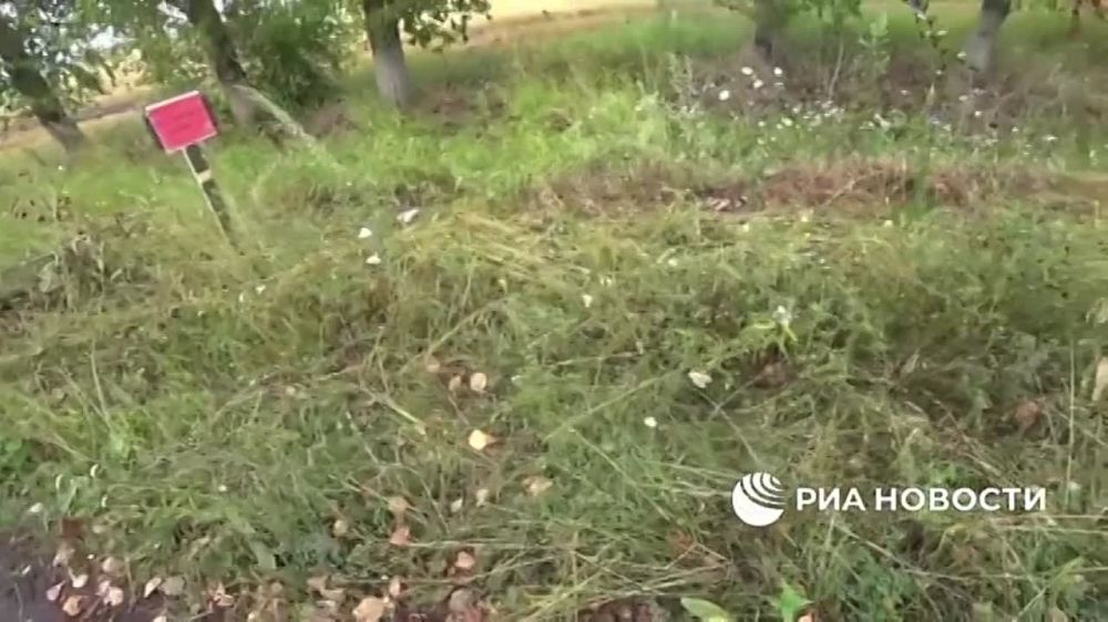 ���������� ������ ������� ���� �� ���� "������" � ���������������� ������ "��������" �� ���� �������� � ����������� �������