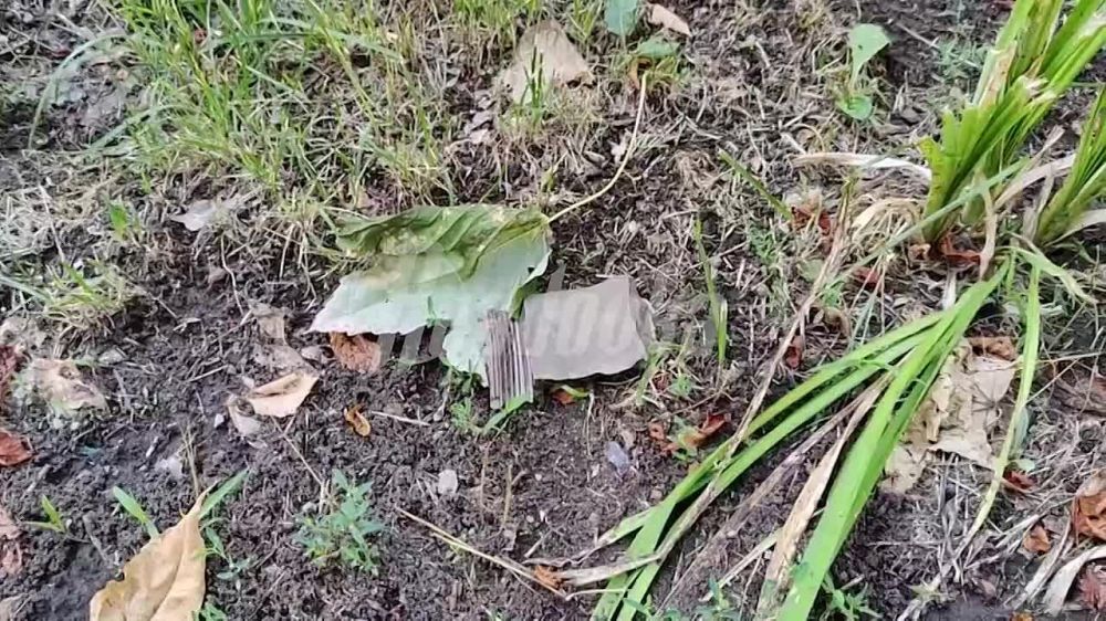 ��� ���������� ����� ������� �� ������ �777 �� ������� ����������� ������ ������������ � ��� ������� ��������� ������� �������� ����� �� ����� ���������