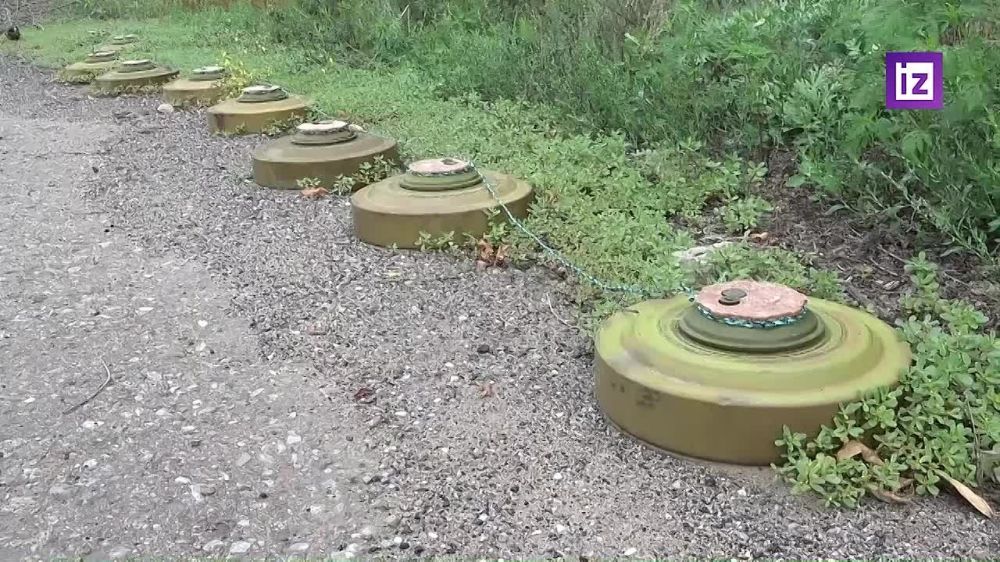 ��� ������� ������ ������� ����������, ������� ��� �� ������������ ��������� � "����� ����", � ���������� � ���, ����������� �������� ������������