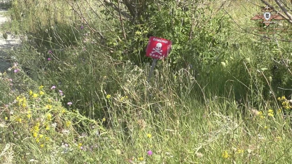 ����������� �� ���������� �����������: ��������� ��������������, �� �� ������������