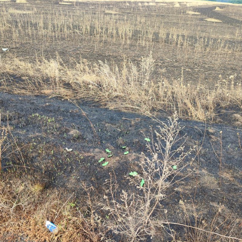 #���_�����. ��� �������� ������� ����������� ������!