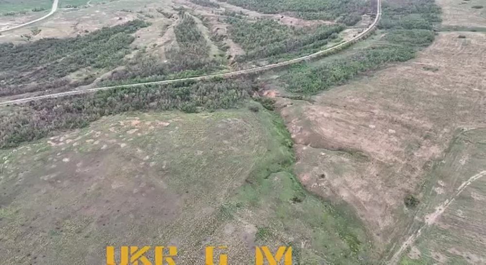 Плачевное положение подразделений 14 отдельной механизированной бригады, позиции которых на видео артиллерия НМ ЛНР разбирает под Соледаром, не ограничиваются значительными потерями среди личного состава и техники