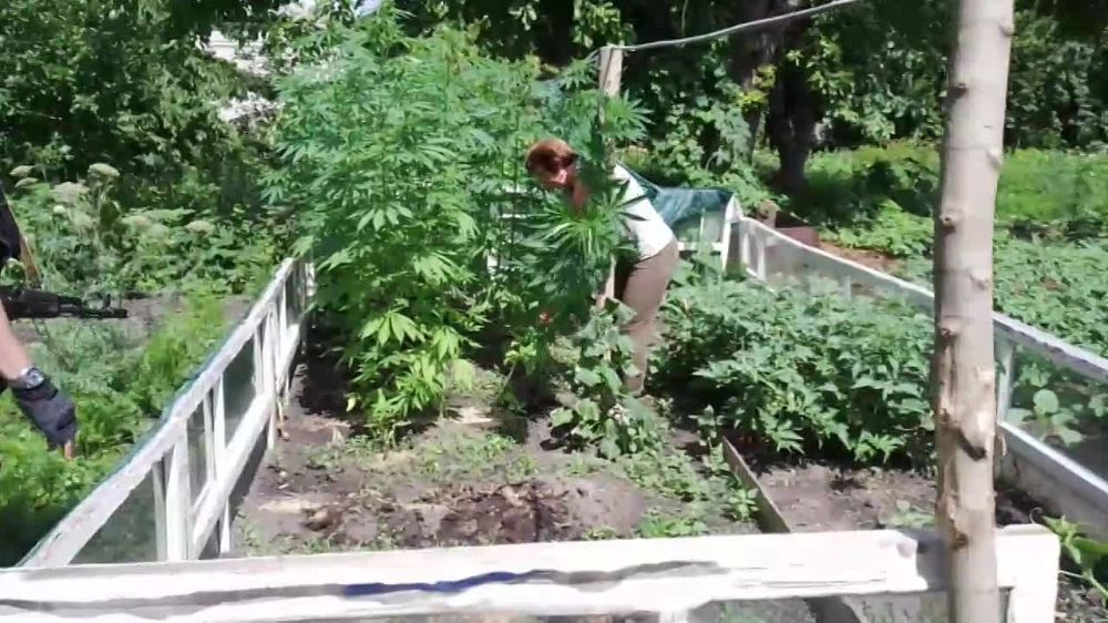 Правоохранители Изюма борются с наркоторговлей