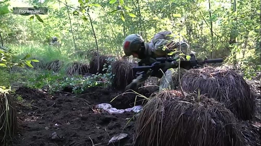 ����������� ����, NLAW � �������: ���������� ���������� � ����������� ������� ������ � ����������� �������