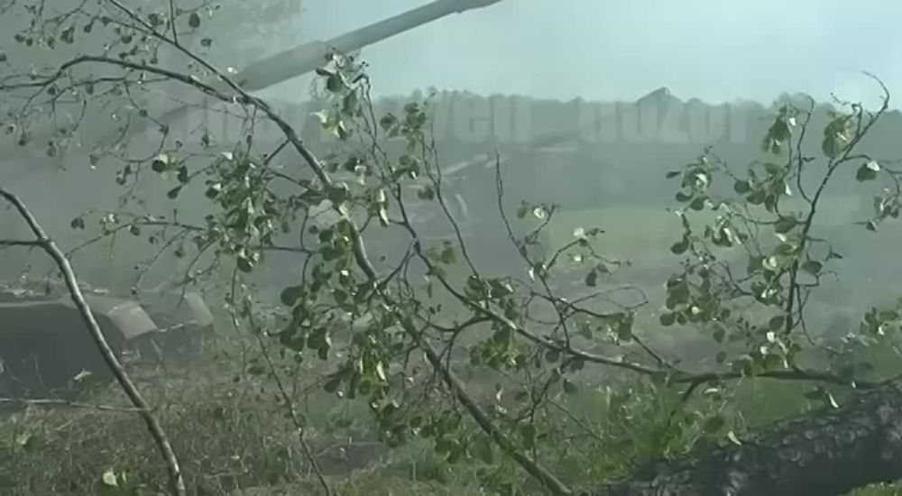 ������� ��� ����������� ZVO ��������� �������� � ���������