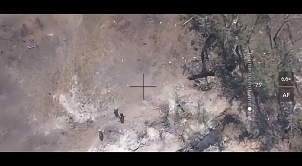 ����� �� ��������� ���, ������ ������ ���������� �������� ������