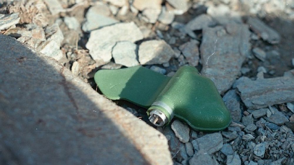 ��� ������� ������-����������� ���� ������������ �� ��� ���