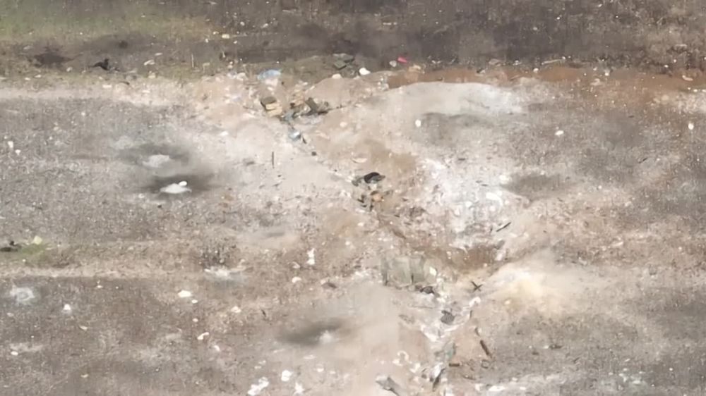 ������������ ����� ��� ����� �����������: ���������� 11 ����� �� ��� ����� �������������, ����������� � ������� ������������, ������������� �� ����� ��� "����", ������� ������� ��������� �������� ������ ��� � ������ �.�.������������