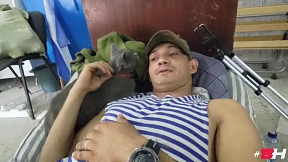 ��� ����, �������� ��������