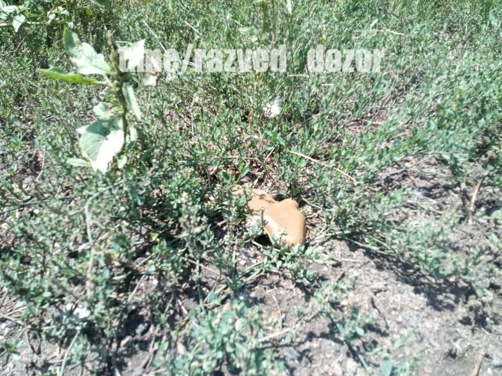 ��� ����� ��������� ���������� ��������� ������ ������-����������