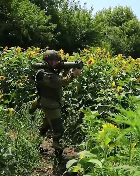 ����� ������������. �������� �������������� ���� ����� ������ ������� ������� ����������