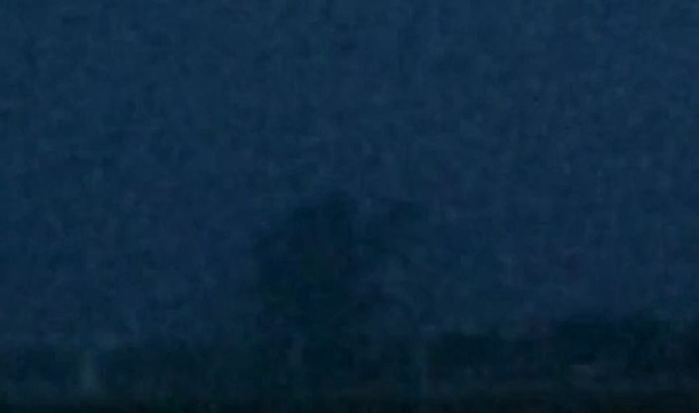 ������� ������ � �������� ��������� � ���� ��� �� ���� � 30 �� 31 ������� 2022 ����