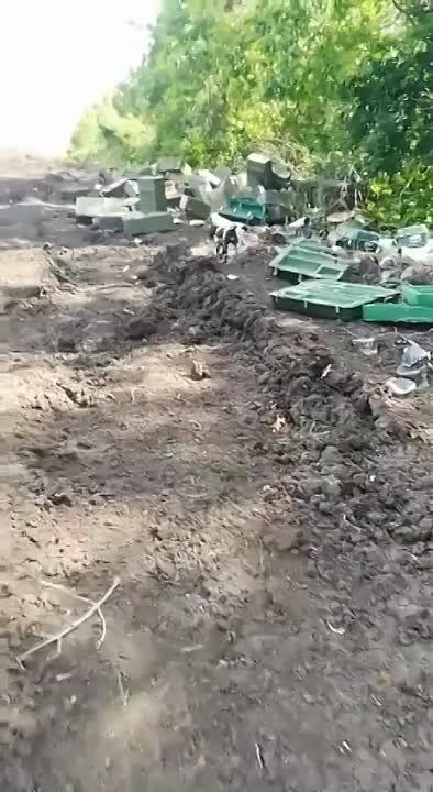 �� ����� �������� �� �� ���� �������� ������