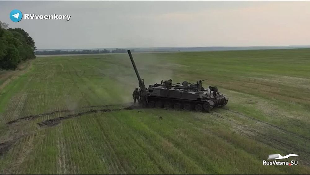 ���������� ����������� ZVO ���������� ������� ����� ��� ��� ���������