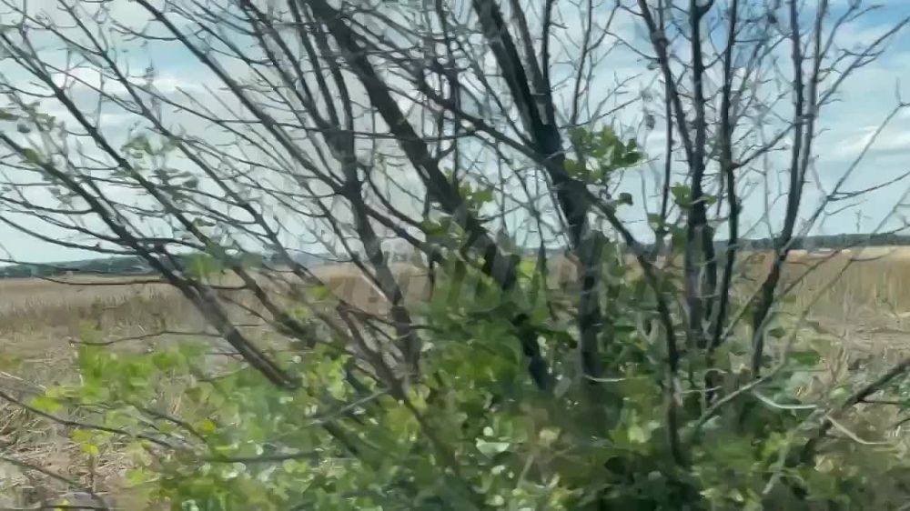 ��� ���� ���������� ������� � ����� ��� ������������ ��� ��������� ����