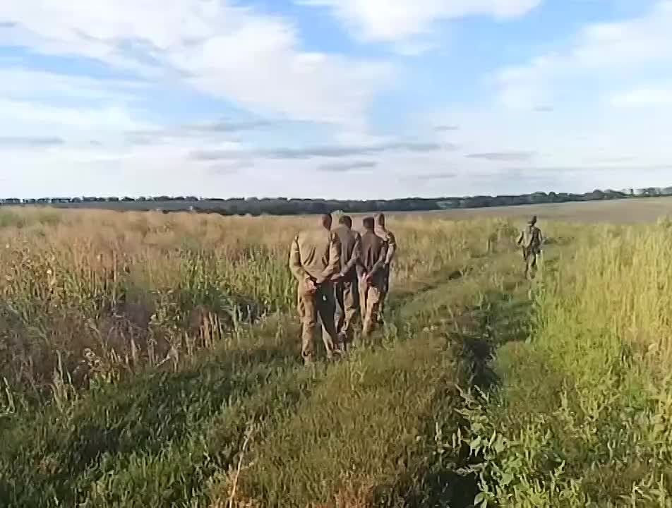 ����� � ������ �.�. ����������� (����������� �������) ���� ������� ������������� ��� ���������� (12 ���), � ���������� ����������� ��� 5 �������� ����������, 7 ����� � ����, �� ��� 1 ������