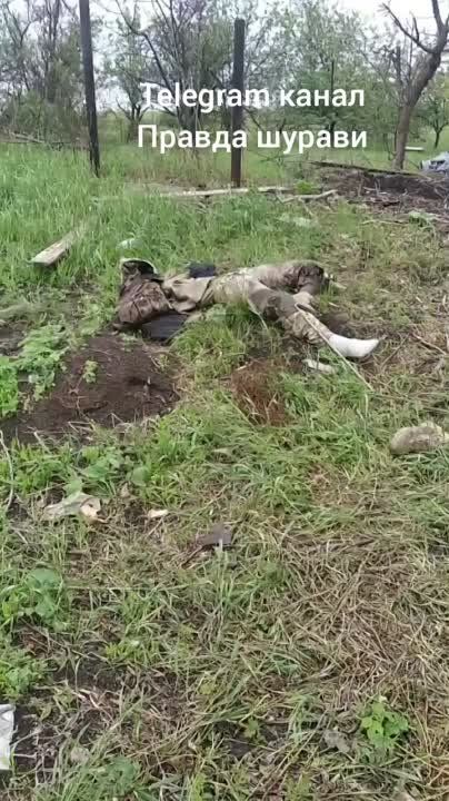 � ������ �������������� ��������� ���� �����������! �� ��������, ��� ��� ���������, ����������, �������� - �� ����� ��������� �������� ���. ����� �� ������������ � ��� ������ ����, ��������! ����� �������� � ��� �� ��� ������ �� �����