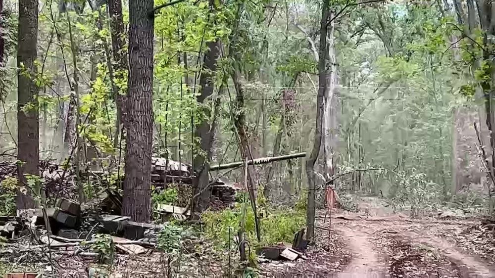 ���������. ������� RT ���� @martovalieva1 ������������ ������ �������� �� ������� 40-� ��������� �������������� ������� � ���������� ���� ��� ����������