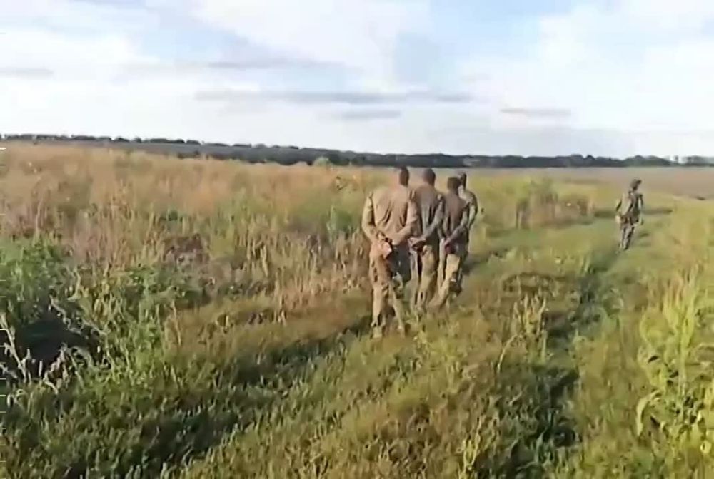 � ������ ����������� ������ ����������� � ����������� ������� ���� ������� ������������� ��� ���������� � 12 �������, � ���������� ����������� ��� 5 �������� ����������, 7 ����� � ����, �� ��� 1 ������