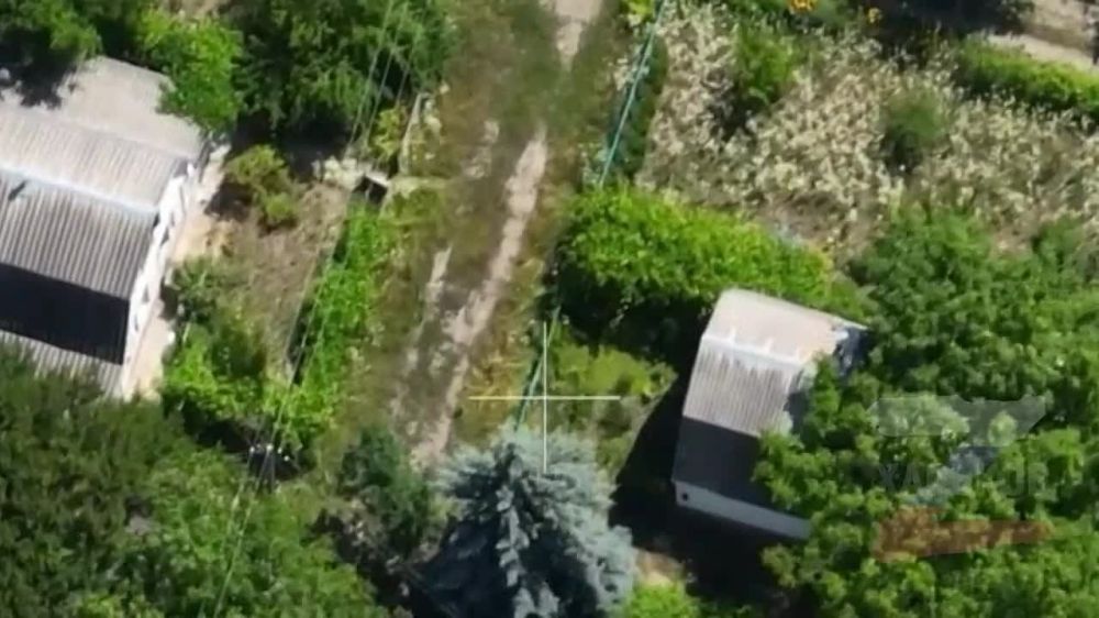 ����������� ZVO ���������� ���������, ������� �������� ���������� � ������� �����