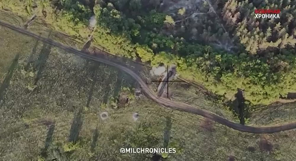 «Шервудский» лес — почти таёжный лесной массив, частично простирающийся вдоль трассы Изюм — Славянск и охватывающий русло Северского Донца от Изюма до Святогорска