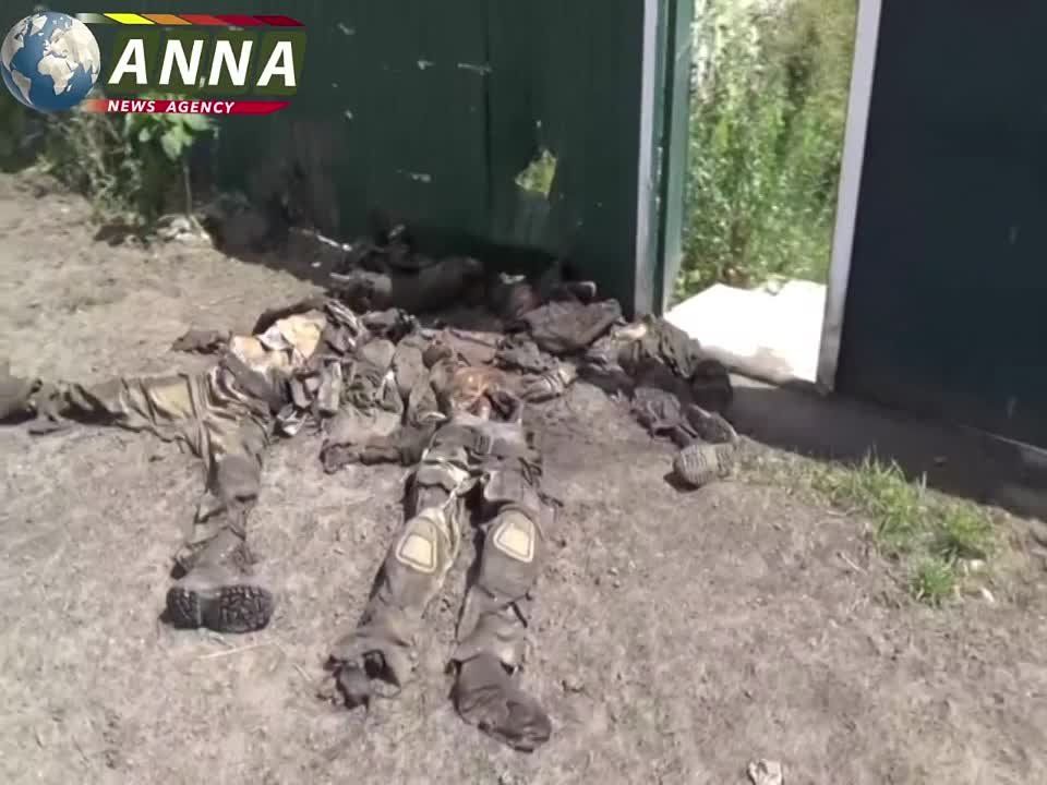 �������� �������������� @anna_news �� ������������ ����