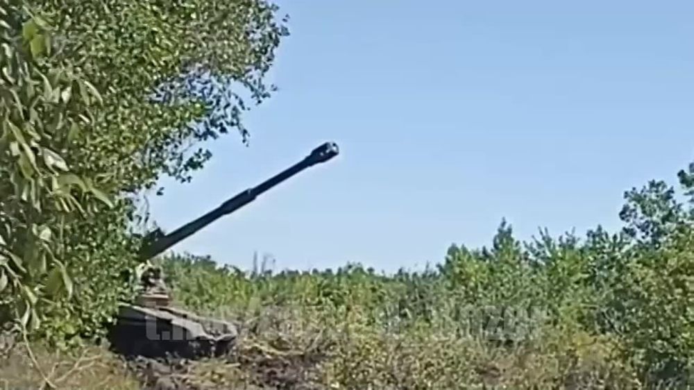 ������ ���������� ����� ����������� ZVO ���������� ������ �������� (����� 5 �������) ��� ���������