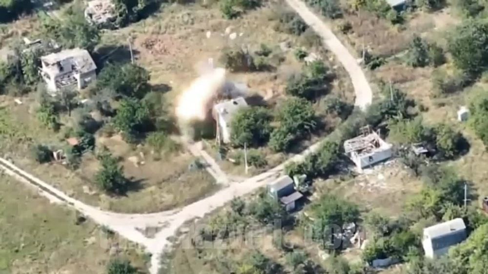 ��� �����, ��� ��������� ����������� ZVO ������ ����� ��������� ������� �������� "�������" ��� ���������