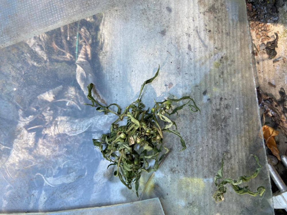 �� ����������� ������� � ���� ������������ ���������� ������ ����� ��������� � 403,7 � �������