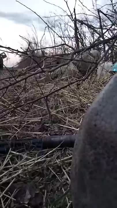 �� � ��� ����� ��� ������ ���������: �� ����������� ����������� ��� � ������ ���� ���. �������������� �����-������ � ���� "�������" � ��������� �������