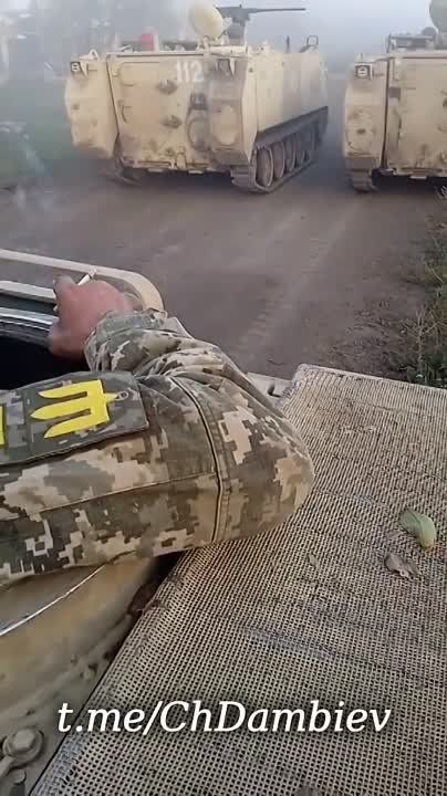 ����������������� �113 ������������� ������������, ������� �� ���������� ���������� ����� ��� ���������� � ����������� �������