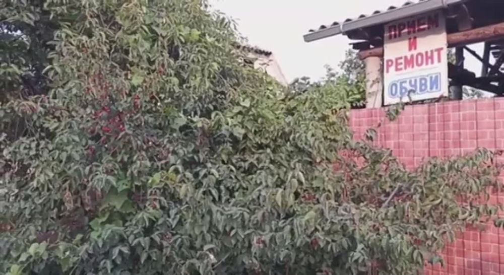 � ����������� ������� ������������ ������������� ������� ����� ����������