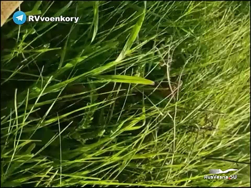 ���� �������: ����������� ���������� � ������� ������ �������� � ������� �������� ������� ������ � ��������, �� ��� ���� ��� ������� �� ��������� �� ��. � ������ ������������� ��������� ������� ��� �����